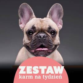 Mokra karma dla psa do 10 kg na 7 dni Dolina Noteci Superfood 11 x 400 g