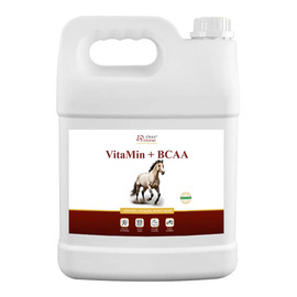 Over Horse Horse VitaMin + BCAA Mieszanka witaminowo - mineralna dla koni 5 l