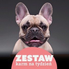 Karma mokra dla psa do 15 kg na 7 dni Dolina Noteci Premium 12 x 500 g